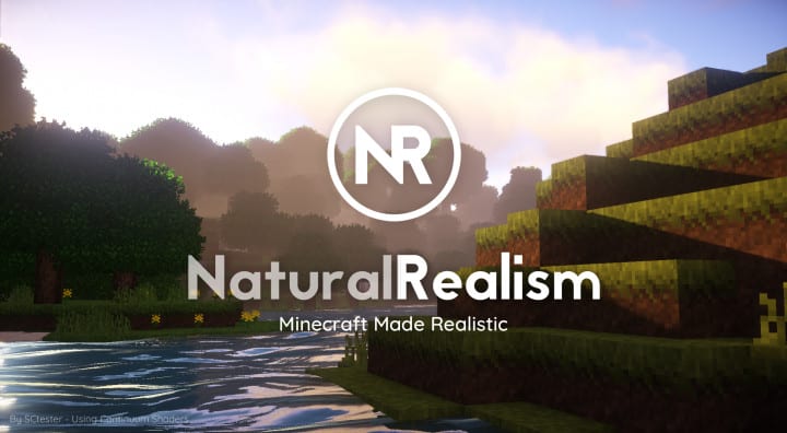 NaturalRealism Resource Pack 1.13 / 1.12.2  Texture Packs