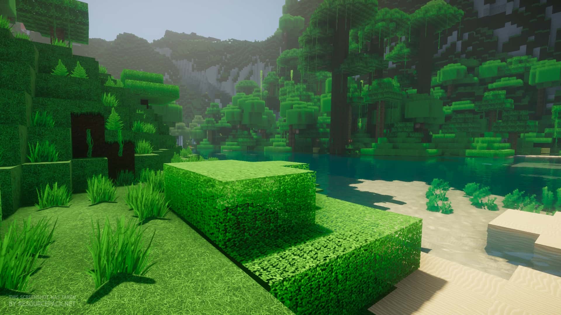 Grass Block: Trimmed Minecraft Texture Pack