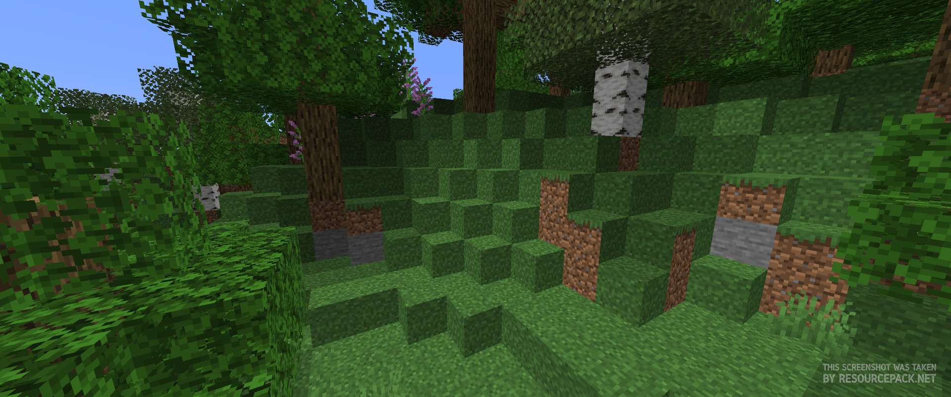 Chiseled - More Stone Block Designs [1.19] Minecraft Texture Pack