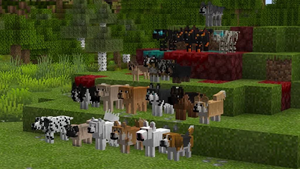 Better Dogs Resource Pack 1 16 1 15 Texture Packs