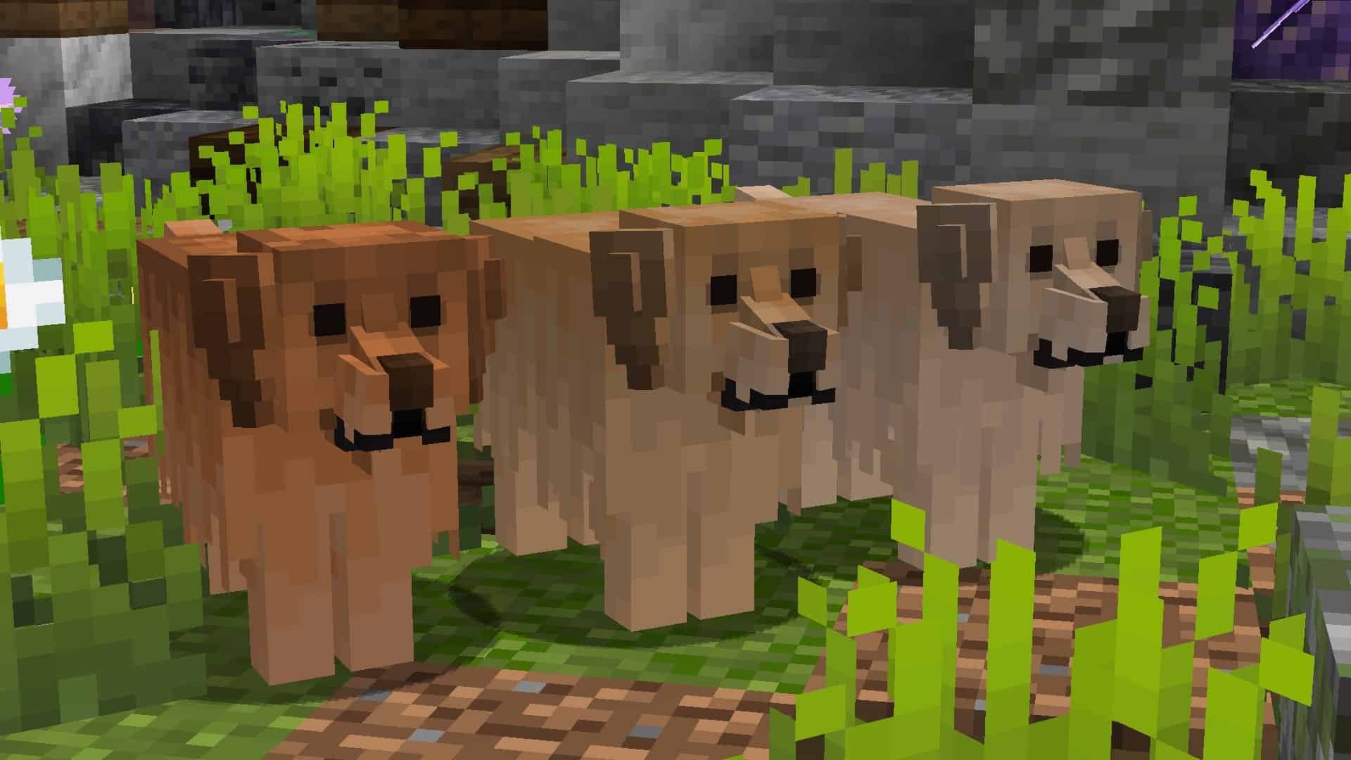 Better Dogs Resource Pack 1 16 1 15 Texture Packs