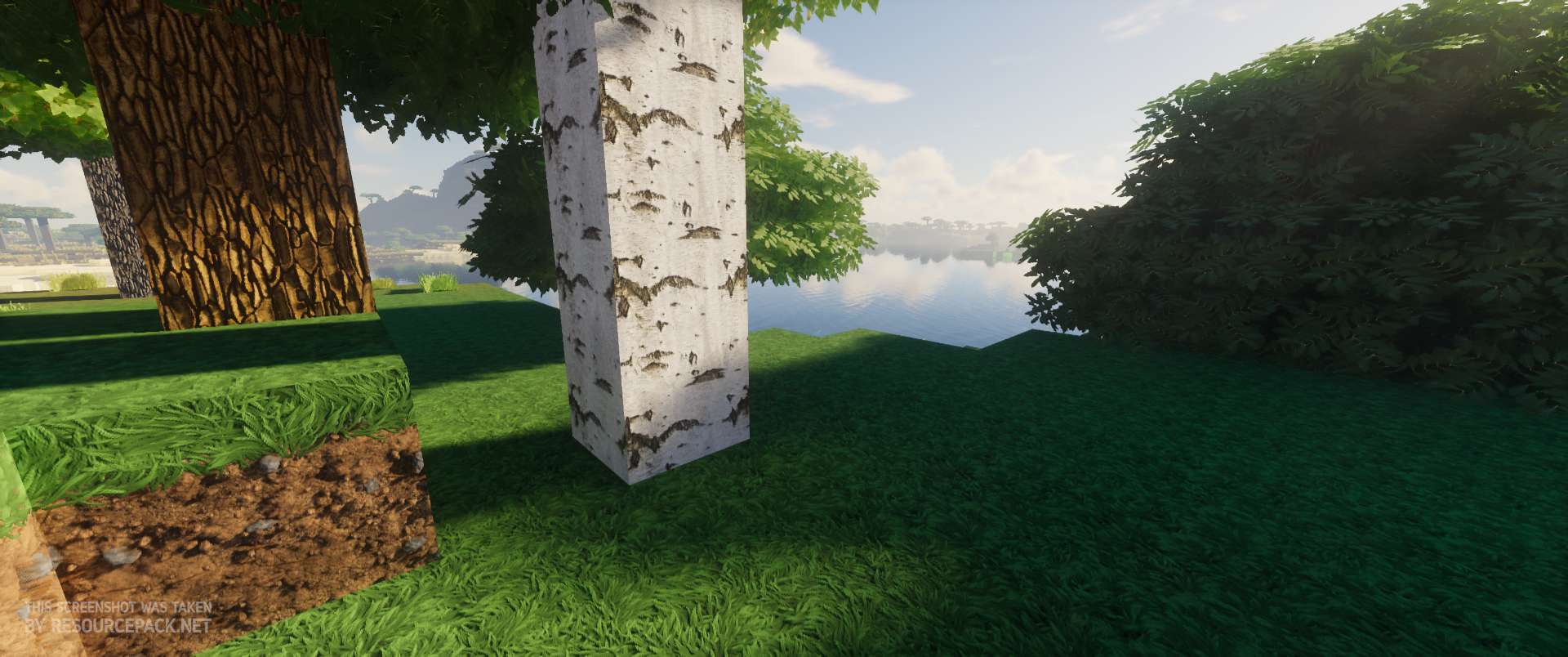 Smooth Realistic Texture Pack para Minecraft 1.13, 1.12 y 1.11